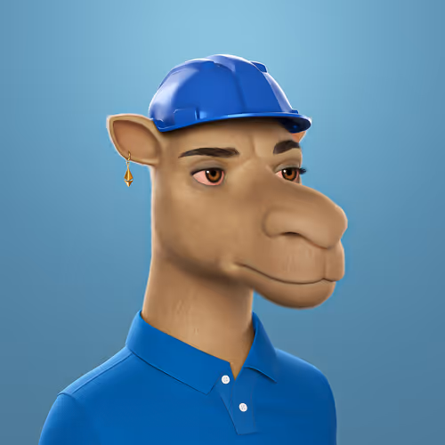 3dcamels