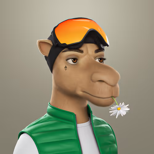 3dcamels