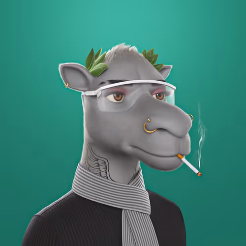 3dcamels