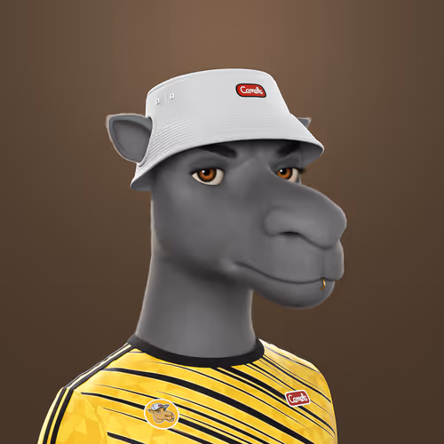 3dcamels