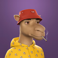 Camel 3D #1538