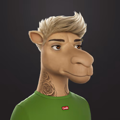 3dcamels