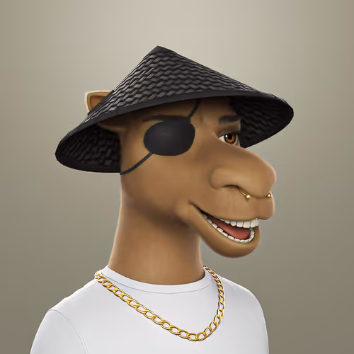 3dcamels