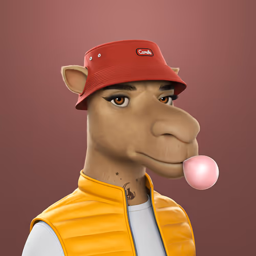 3dcamels