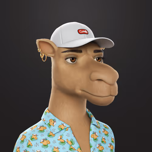 3dcamels