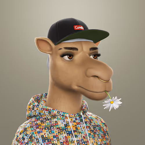 3dcamels