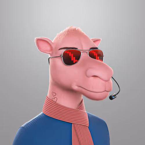 3dcamels