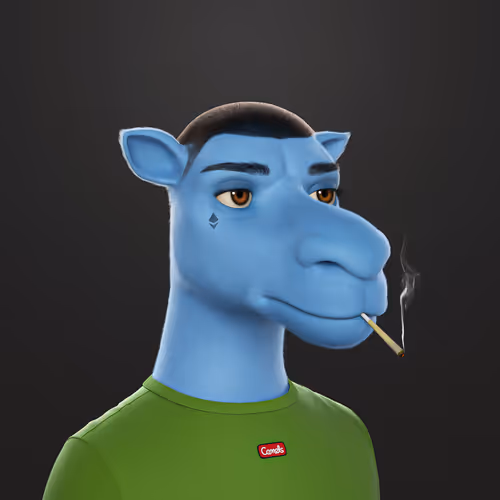 3dcamels