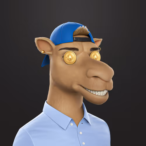3dcamels