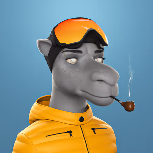 3dcamels