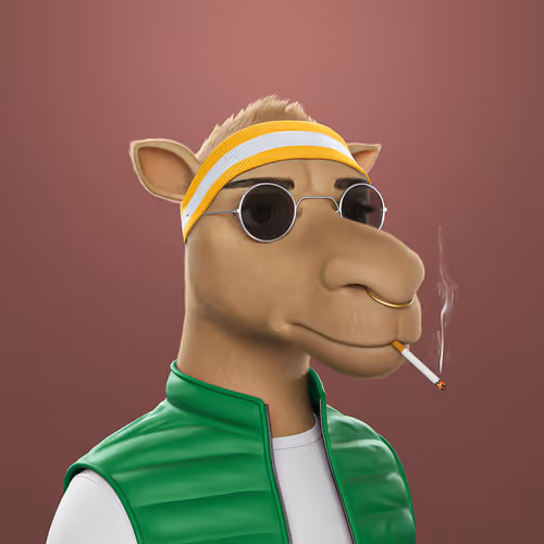 3dcamels