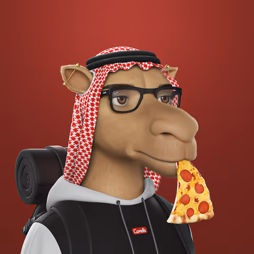 3dcamels