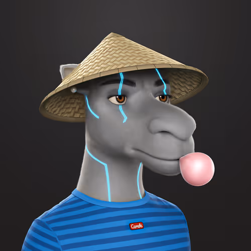 3dcamels