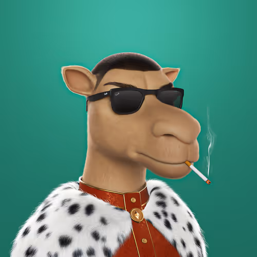 3dcamels