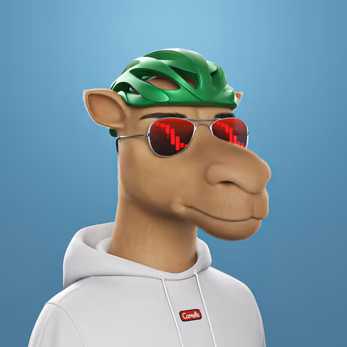 3dcamels