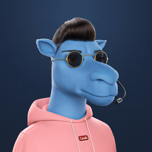 3dcamels