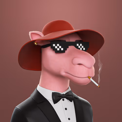 3dcamels