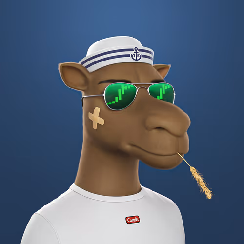 3dcamels
