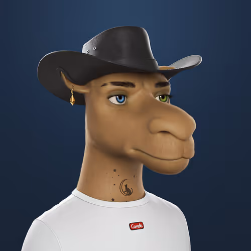 3dcamels