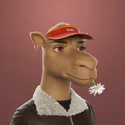 337