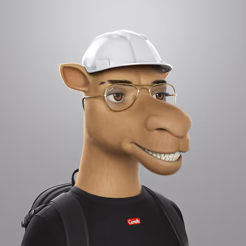 3dcamels