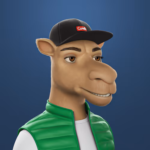 3dcamels