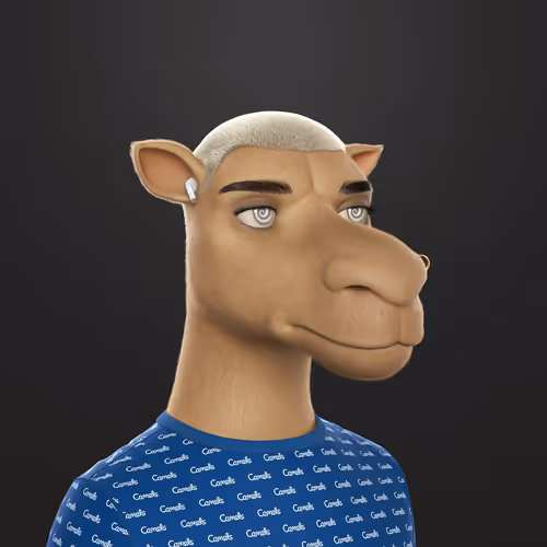 3dcamels