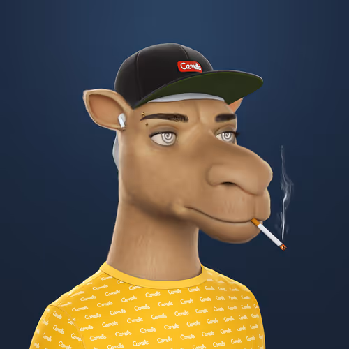 3dcamels