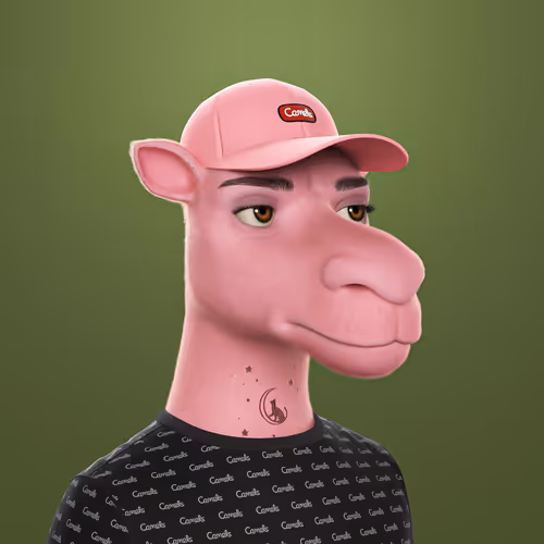 3dcamels