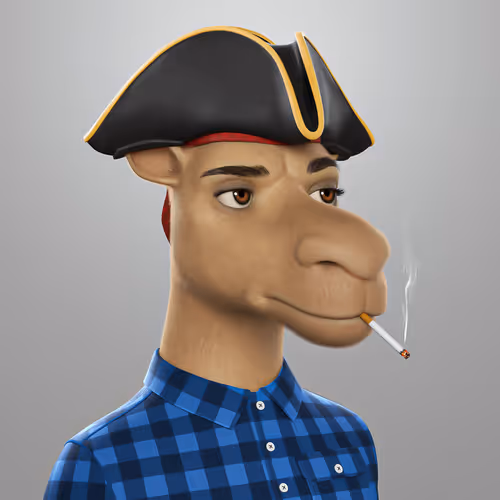 3dcamels