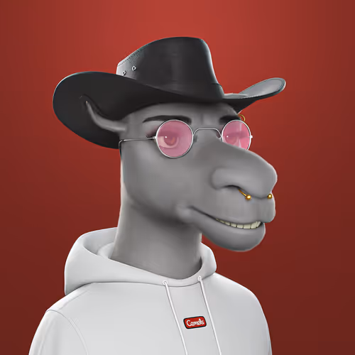 3dcamels