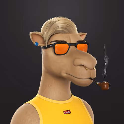 3dcamels