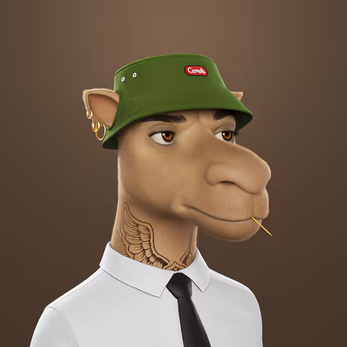 3dcamels