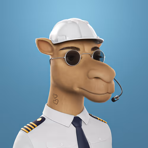 3dcamels