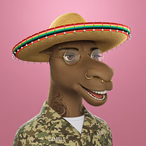 3dcamels