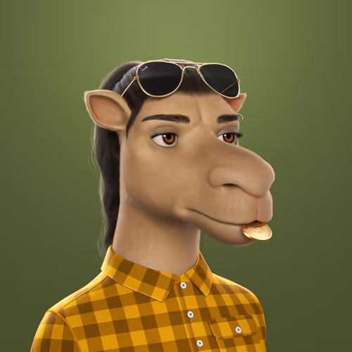 3dcamels