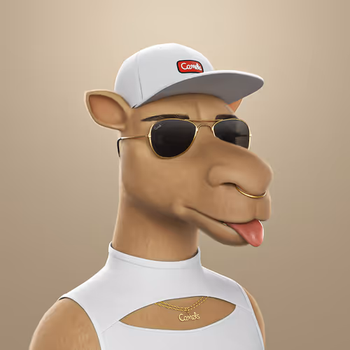3dcamels