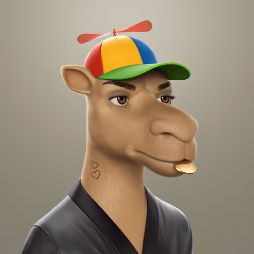 3dcamels