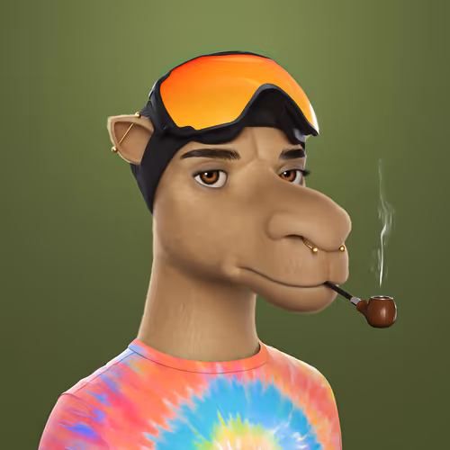 3dcamels