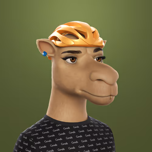 3dcamels