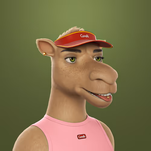 3dcamels