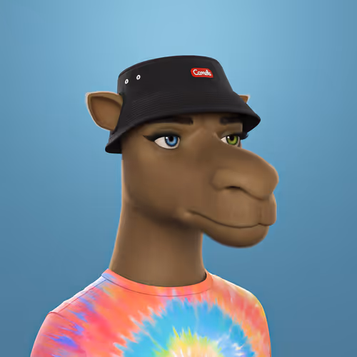 3dcamels