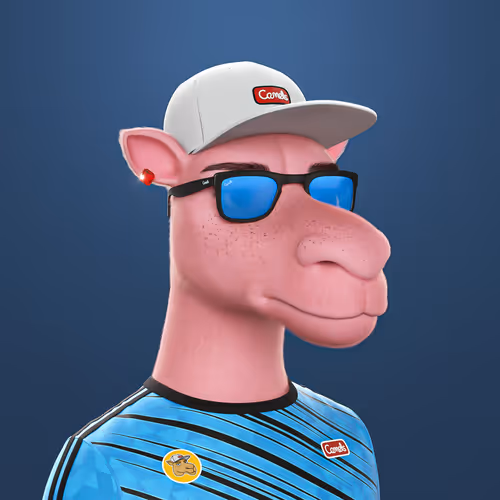 3dcamels