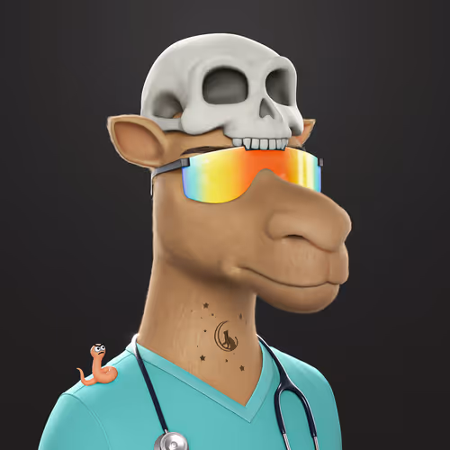3dcamels