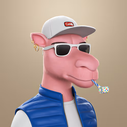3dcamels