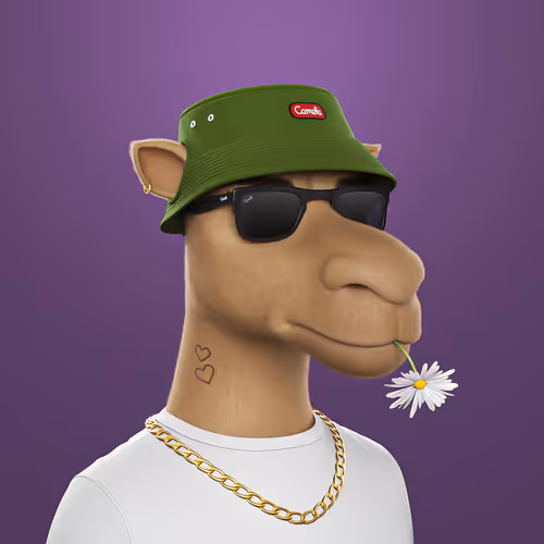 3dcamels