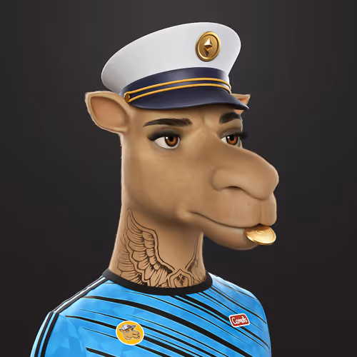 3dcamels