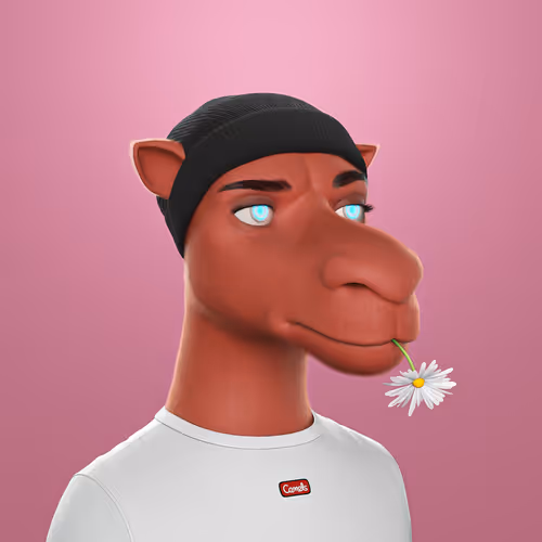3dcamels
