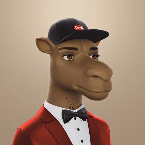 3dcamels