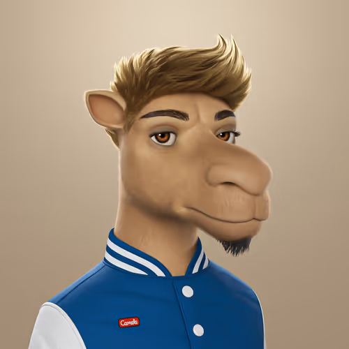 3dcamels